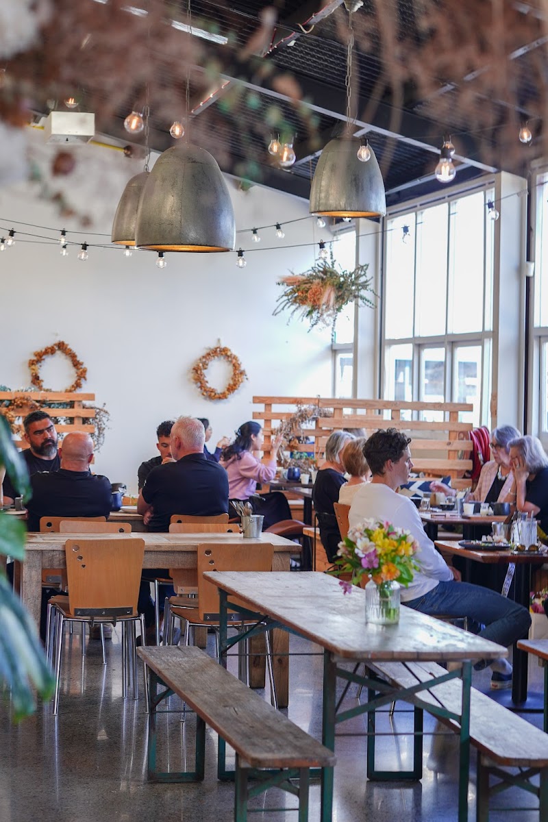 Vibe Coffee Roasters